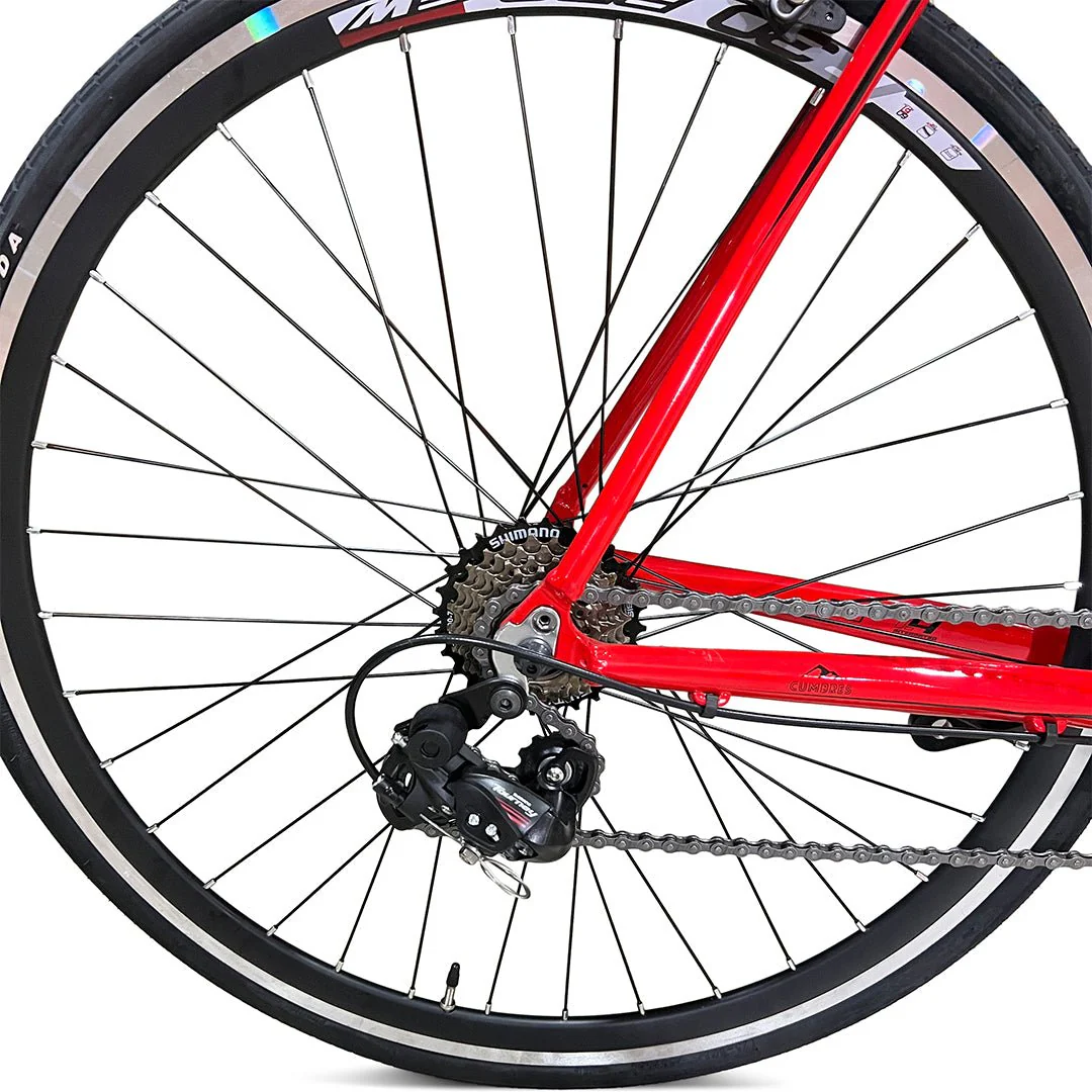 GW Gavia - Image 3