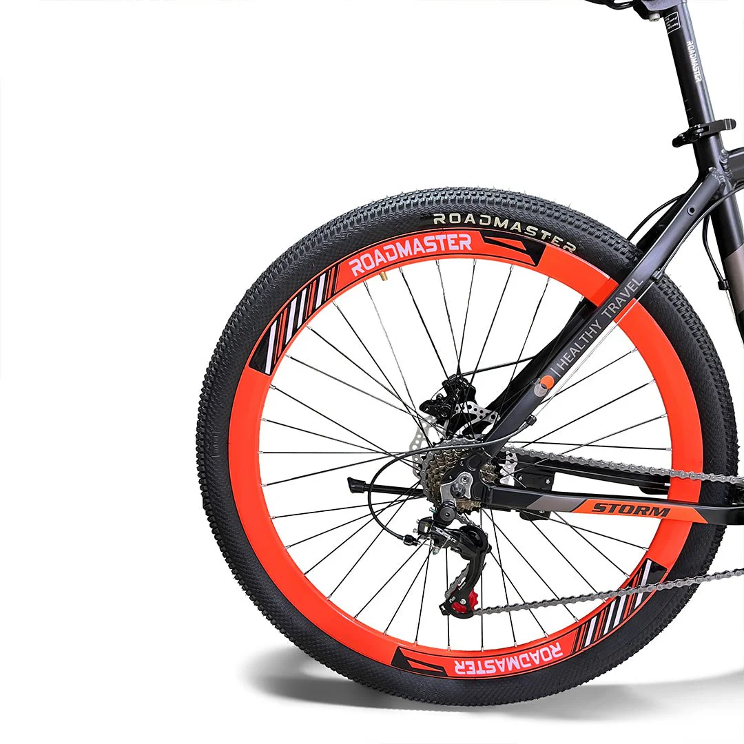Roadmaster Storm - Image 12