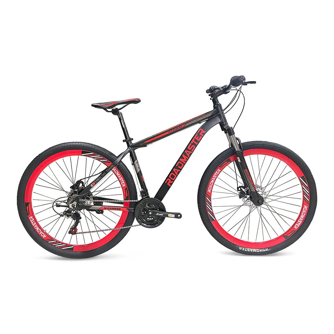 Roadmaster Storm - Image 13