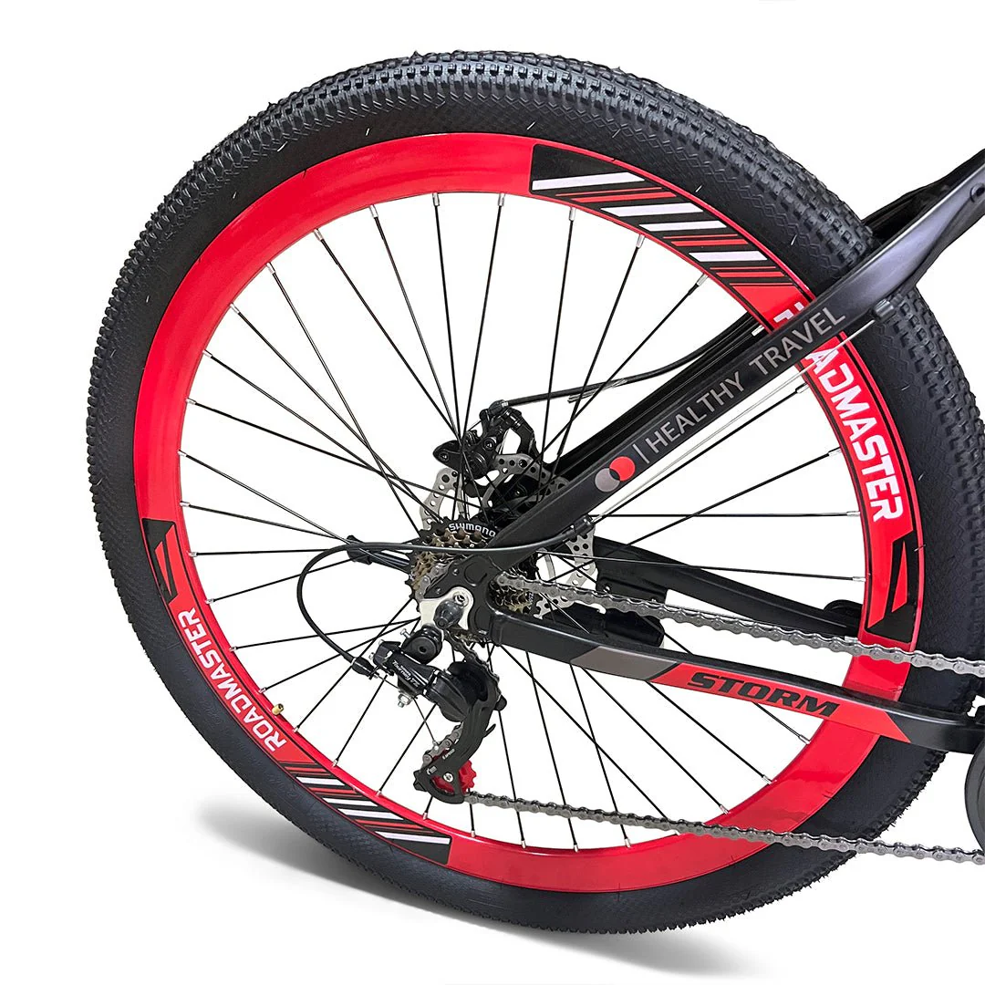 Roadmaster Storm - Image 18